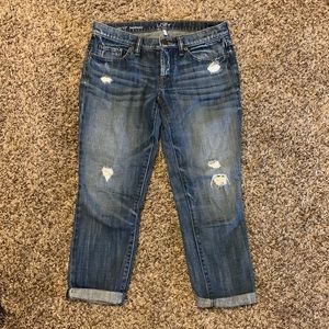 Loft capris